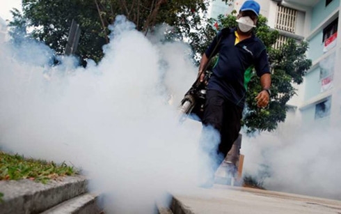 242 người đã bị nhiễm Zika tại Singapore sau một tuần